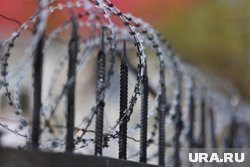Жителю Севастополя дали 17 лет за госизмену