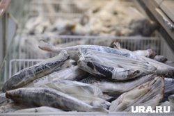 Эксперт заявил, что морепродукты российского производства проходят тщательный контроль, и заразиться инфекцией из Гонконга от них нельзя