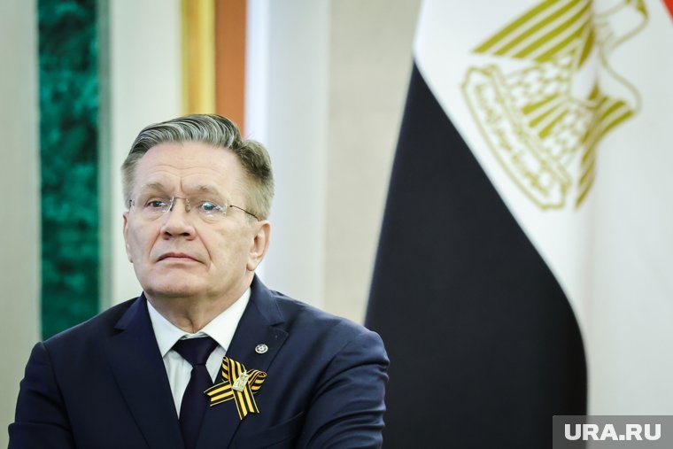 Лихачев заявил, что АЭС «Бушер» может повторить судьбу Чернобыля