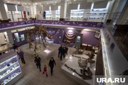 В Новоуренгойском городском музее изобразительных искусств проходит выставка «Хозяева тундры»