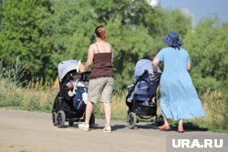 Многодетных мам Курганской области наградят знаком отличия