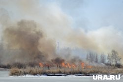 В Челябинской области открыт сезон ландшафтных пожаров (архивное фото) 