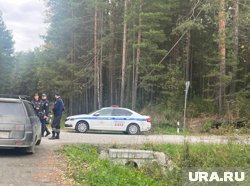 Силовики ведут поиск второго заключенного (фото с Чусовского тракта)