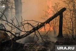 Cпасатели защищают от природного пожара населенный пункт Циолковский в Амурской области