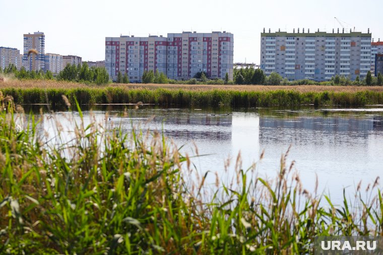 В Кургане много болот, которые делают природу более экологичной