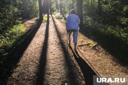 Постройку у городского бора, которую возвели вместо спортсооружения, снесут