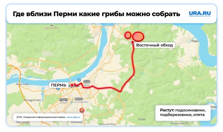 Поезжайте в район СНТ «Солнечное» и не прогадаете