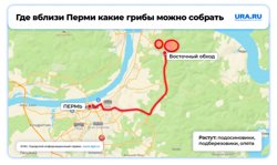 Поезжайте в район СНТ «Солнечное» и не прогадаете