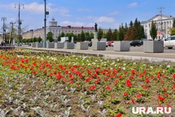 Курганские политики высказались о любви к своей малой Родине
