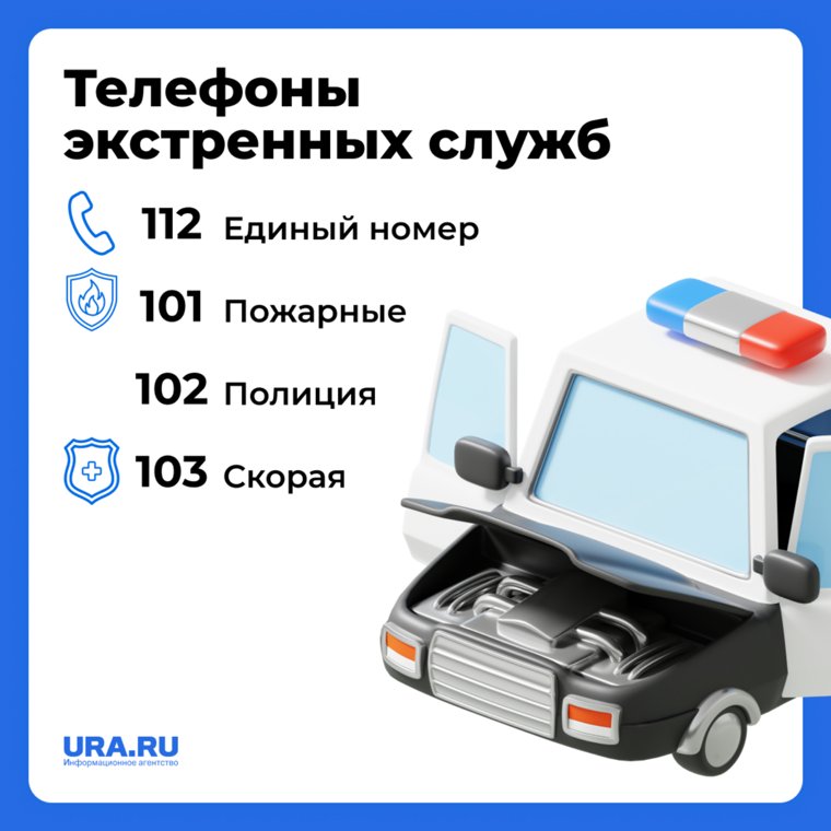 Инфографика