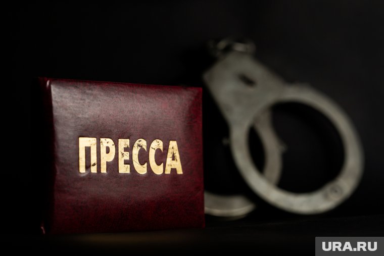 Задержанная призналась, что действовала по указу представителей СМИ