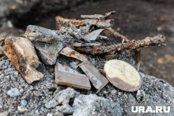 В одной могильной яме были погребены двое умерших, и с ними - две фаланги лошади