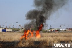 В Заозерном загорелись камыши (архивное фото)