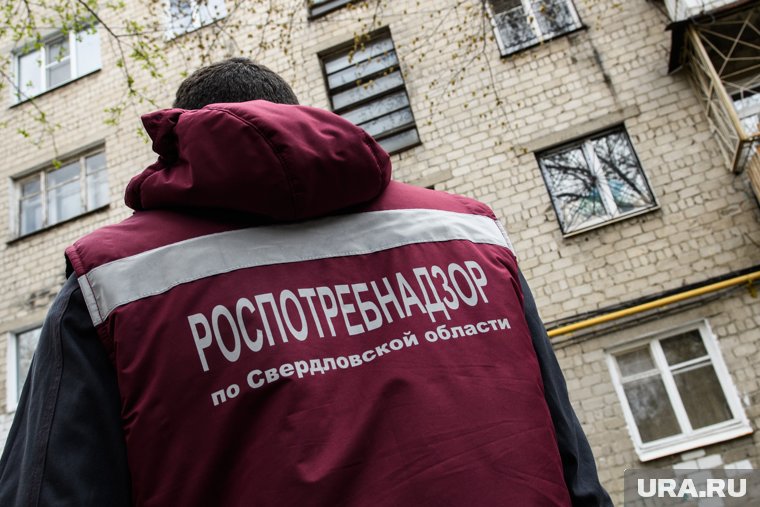 Кафе «ЕдаСалехард», пользующееся спросом у городских чиновников, закрыли за антисанитарию