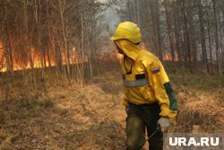 Общественники сомневаются, что в регионе достаточно сил и средств для борьбы с пожарами