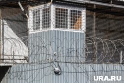 Суд ХМАО отправил бывших полицейских в колонию за взятки