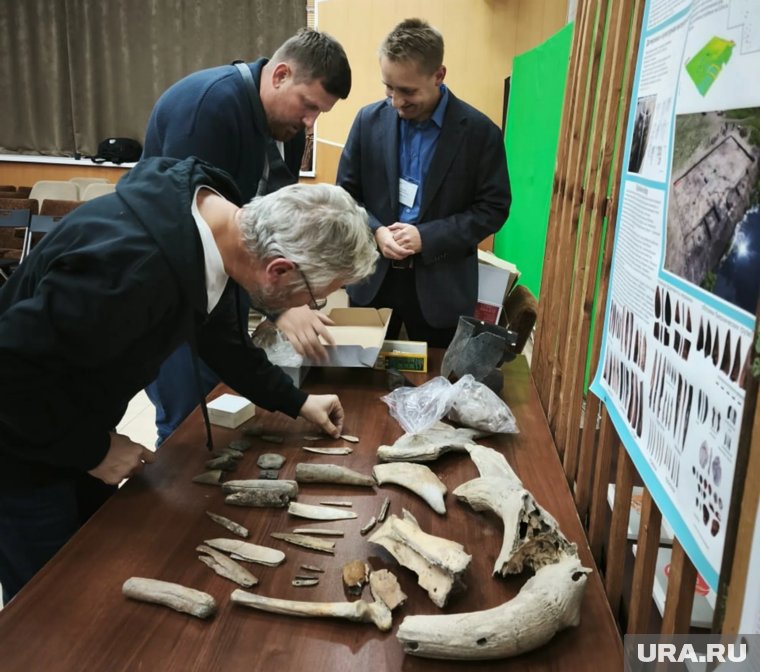 Археологи КГУ представили свои экспонаты на конференции в Миассе