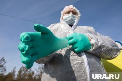 Сотрудники РПН выдали предписание из-за вспышки