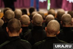 Наемников обеспечивали поддельными документами 