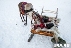 Пострадавших доставили в поселок, никто не пострадал