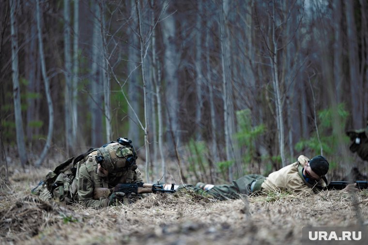 Нужно избежать эскалации украинского конфликта, заявил Уолц