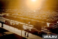 Городом с самой холодной погодой станет Ноябрьск