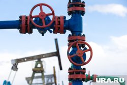 Словакия намерена увеличить потребление российского газа в рамках льгот от ЕС