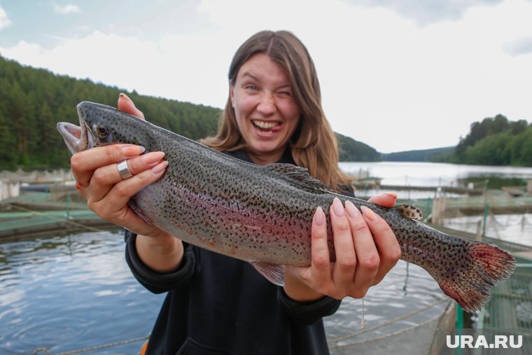 Для многих россиян рыба и икра стали частью праздничного, а не повседневного меню