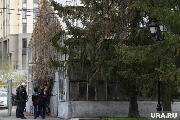 Алексею Орлову показали оранжереи 