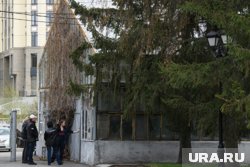Алексею Орлову показали оранжереи 