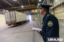 В ходе проверки таможенники выявили, что дерево перевозилось незаконно