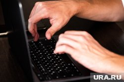 Работодатели предлагают пермякам «удаленку» с высокой зарплатой