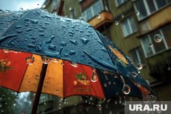 Местами ожидаются дожди