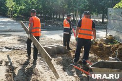 Около 6 миллионов мигрантов приехали в Россию за год