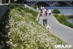 В июле 2025 года температура ни разу не поднималась до +30