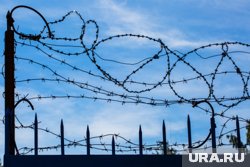 Беглецов не могут найти больше суток