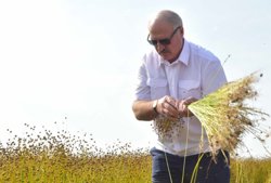 Александр Лукашенко провел совещание по сельскохозяйственной культуре