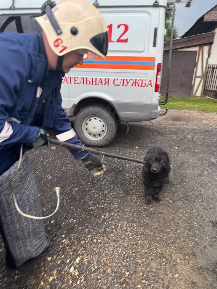 Спасатели использовали снаряжение для защиты от животных