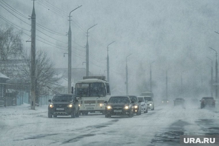 В Тюменской области прогнозируют сильную метель