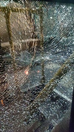 выстрел разбил стекло на двери автобуса