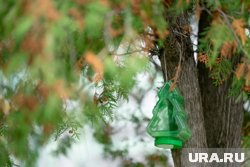 Второй месяц осени поло примет и поверий