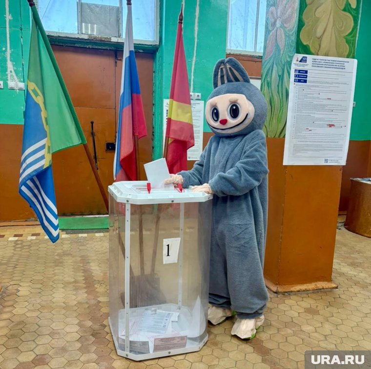 Лабубу перед голосованием показал членам УИК свой паспорт