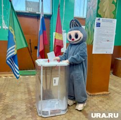 Лабубу перед голосованием показал членам УИК свой паспорт
