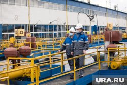 Компания VNG AG приостановила судебные иски против ПАО «Газпром» из-за их бесперспективности