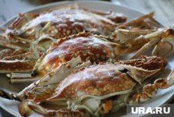 Япония активно покупает у России рыбу и морепродукты