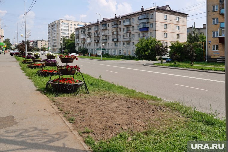 Яблоня росла на улице Карла Маркса, теперь там свежезакопанная яма