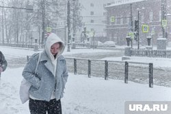 Гидрометцентр прогнозировал более холодную зиму в России