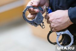 В Курганской области с января по апрель 2025 года было зафиксировано 1102 тяжких преступления