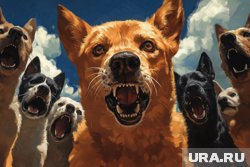 Сообщение о трупе, обглоданном собаками, появилось в соцсетях