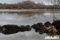 Из-за паводков было затоплено семь мостов, один мост был разобран